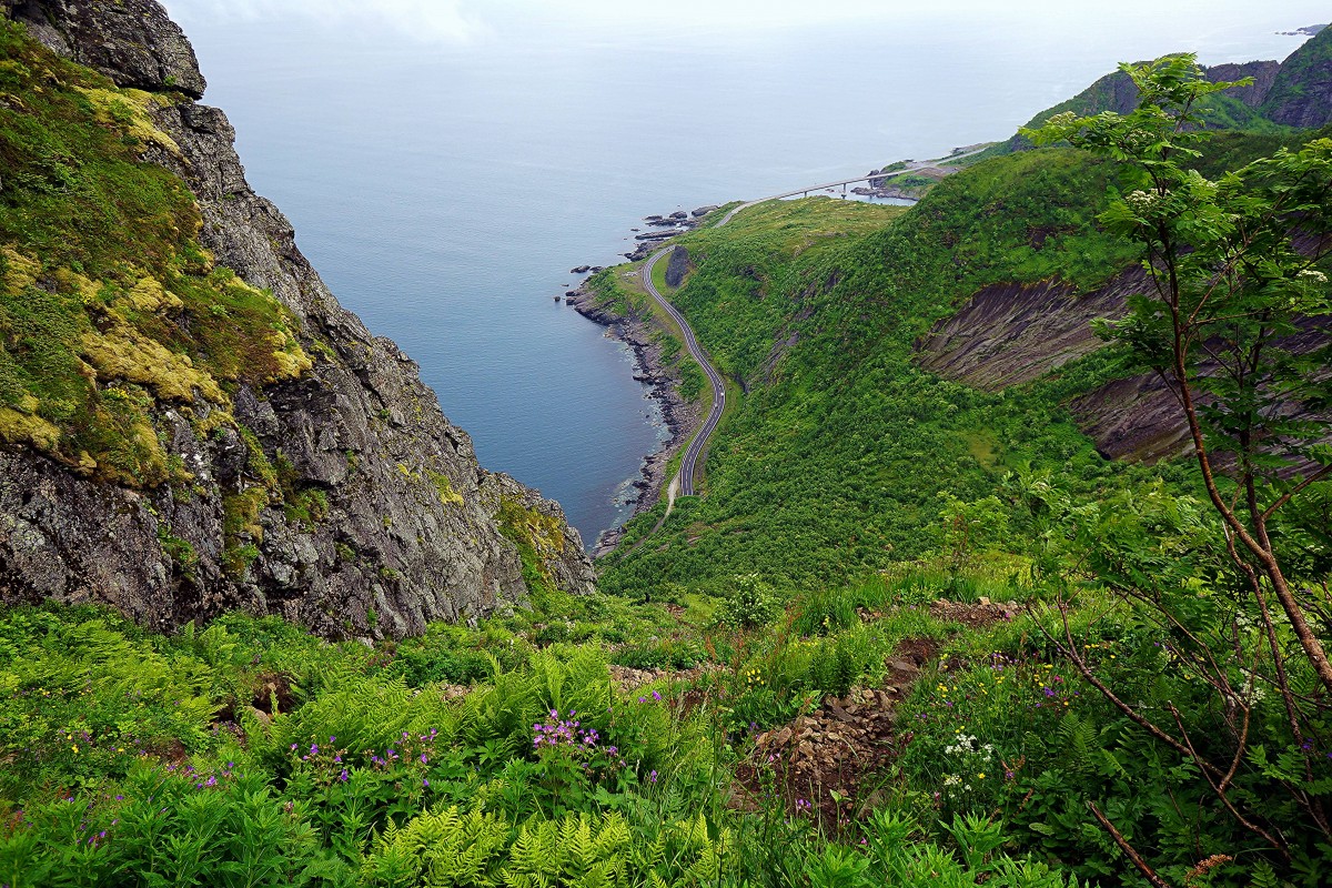 Zdjęcia: Góra Reinebringen, Lofoty, Most na drodze do Reine, NORWEGIA Zdjęcia: Góra Reinebringen, Lofoty, Most na drodze do Reine, NORWEGIA