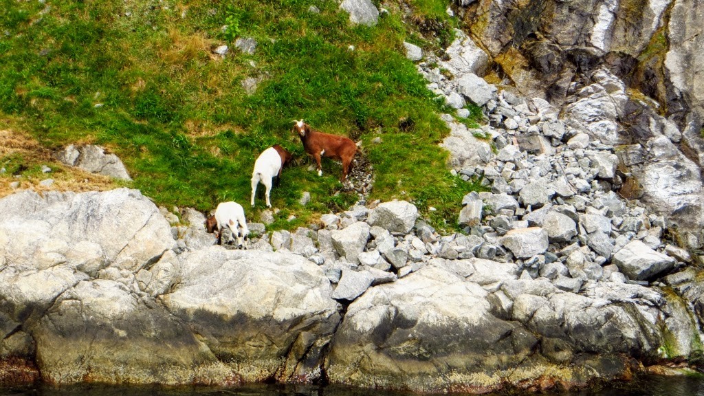 Zdjęcia: Lysefjord, Norwegia południowo - zachodnia, Lysefjord, NORWEGIA Zdjęcia: Lysefjord, Norwegia południowo - zachodnia, Lysefjord, NORWEGIA