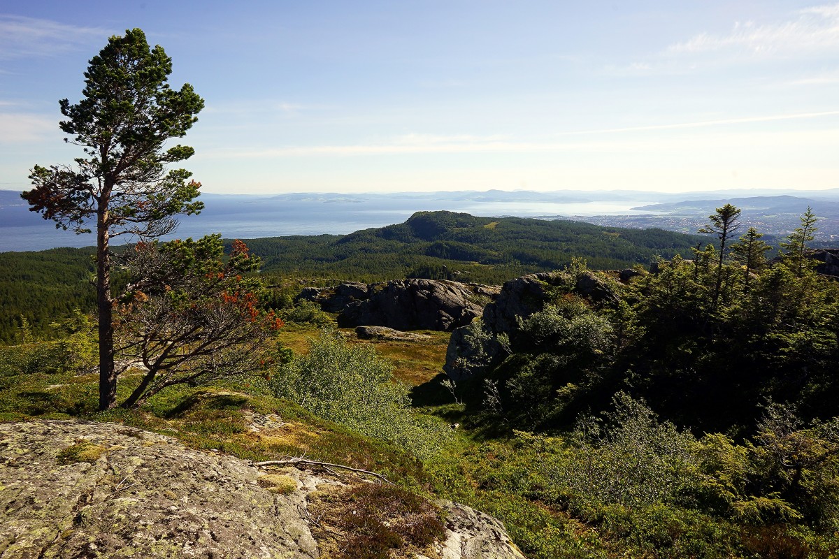 Zdjęcia: Gråkallhytta, Trøndelag , Na horyzoncieTrondheim, NORWEGIA Zdjęcia: Gråkallhytta, Trøndelag , Na horyzoncieTrondheim, NORWEGIA