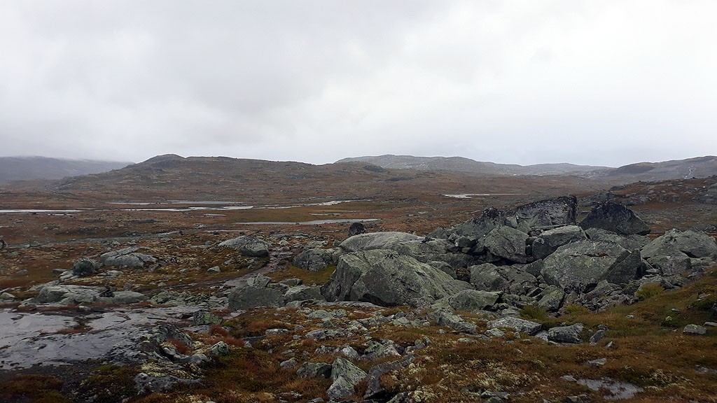 Zdjęcia: Hardangervidda, Vestland, Hardangervidda, NORWEGIA Zdjęcia: Hardangervidda, Vestland, Hardangervidda, NORWEGIA