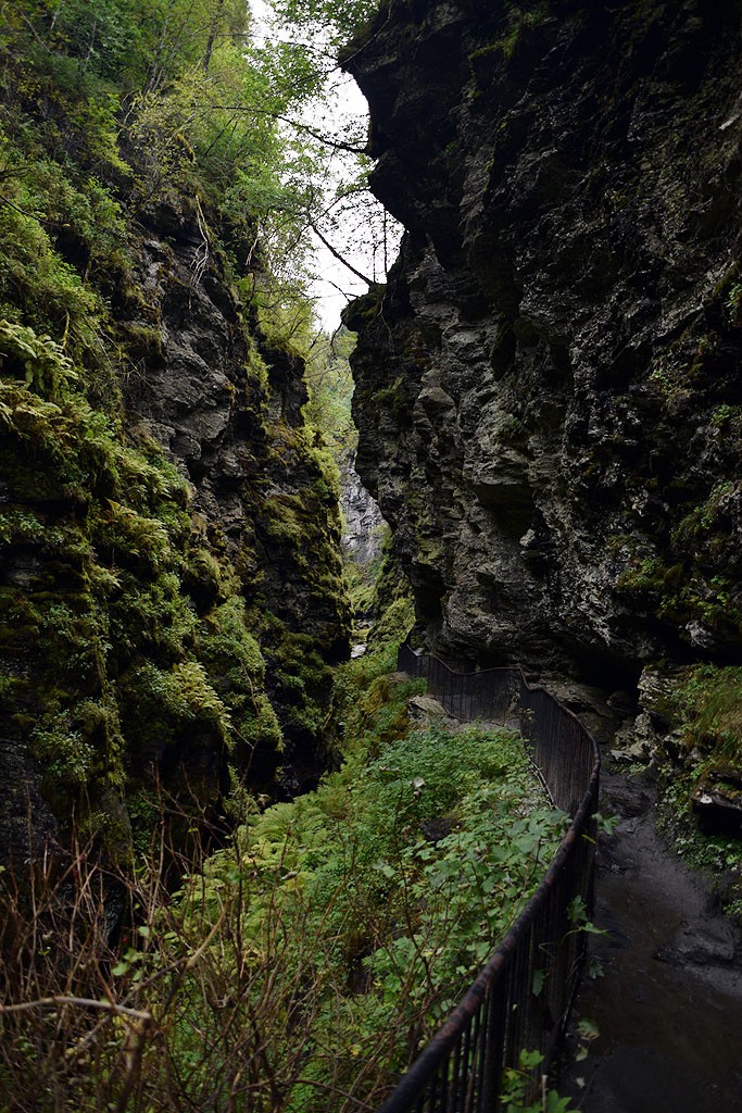 Zdjęcia: Voss, Vestland, Bordalsgjelet, NORWEGIA Zdjęcia: Voss, Vestland, Bordalsgjelet, NORWEGIA