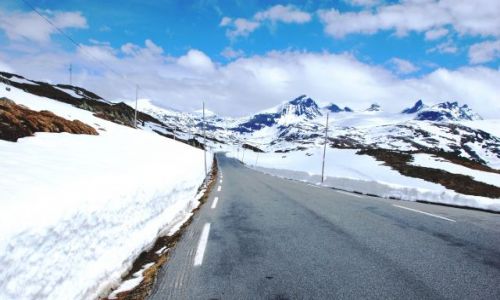 Zdjecie NORWEGIA / Samochodem na dach Norwegii / Paskowy / Droga 55