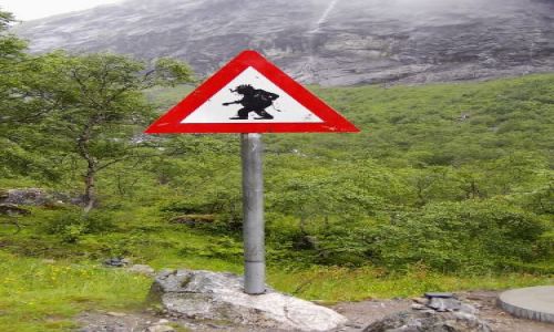 Zdjecie NORWEGIA / brak / Droga Trolli / Uwaga Trolle ;)