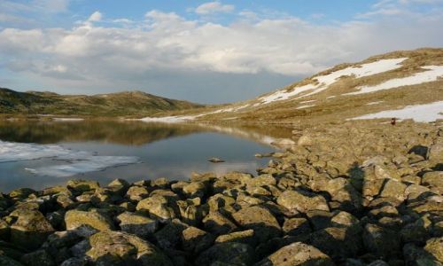 Zdjecie NORWEGIA / paskowy Hardangervidda / paskowy Hardangervidda / bezkres