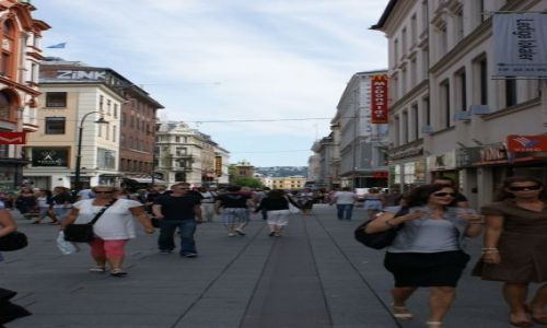 Zdjecie NORWEGIA / Austlandet / Oslo / Pasa stolicy Norwegii