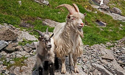 Zdjęcie NORWEGIA / południowo - zachodnia Norwegia / Lysefjord / Zainteresowanie