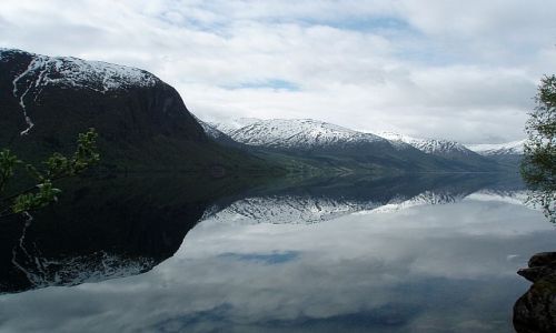 Zdjcie NORWEGIA / nordland / nordland / odbiecie gr w fiordzie