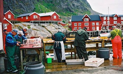Zdjecie NORWEGIA / Lofoty / miejscowosc A / Rybacy