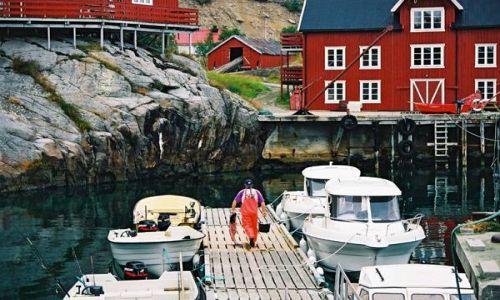 Zdjęcie NORWEGIA / Lofoty / miejscowosc A / Rybak z rybka