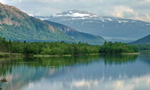 Zdjecie NORWEGIA / Oppland / Oppland / Biwak z grami w tle w prowincji Oppland