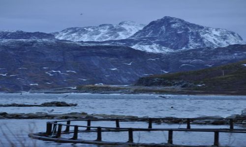 Zdjecie NORWEGIA / Wyspa / Senja / Fiord___