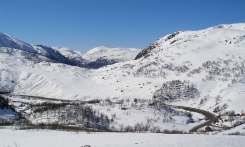 Zdjęcie NORWEGIA / brak / Trasa Bergen-Oslo / 1011 mnpm.