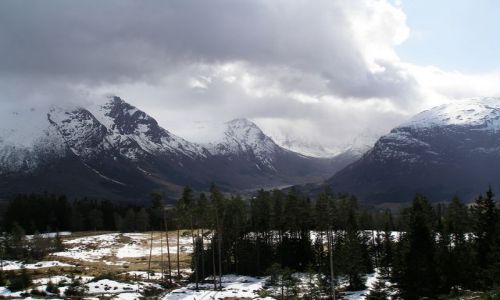 Zdjęcie NORWEGIA / brak / Trasa Bergen -Oslo / Pochmurno