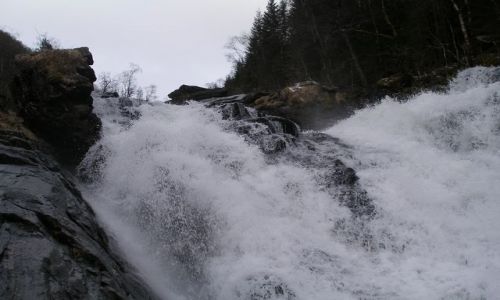 Zdjęcie NORWEGIA / brak / Trasa Bergen-Oslo / wodospad