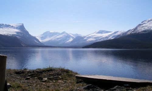 Zdjęcie NORWEGIA / brak / Trasa Bergen-Oslo / WIDOK