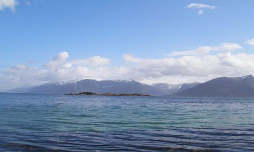 Zdjęcie NORWEGIA / brak / Trasa Bergen-Skien / Widok