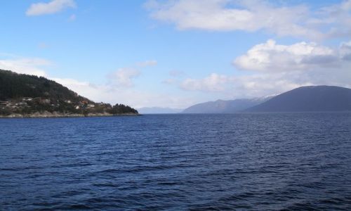 Zdjęcie NORWEGIA / brak / Trasa Bergen-Skien / Widok