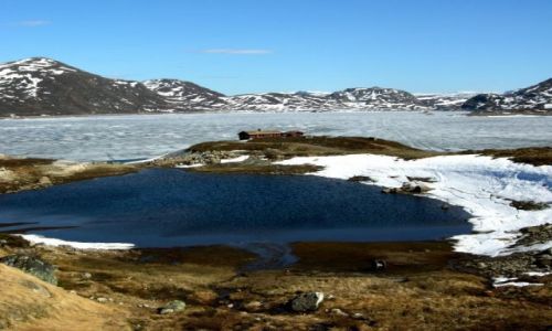 Zdjecie NORWEGIA / - / gdzie w grach / Hytte