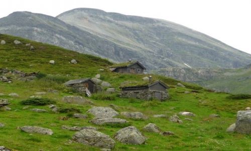 Zdjecie NORWEGIA / - / okolice Geirangerfjord / kamufla