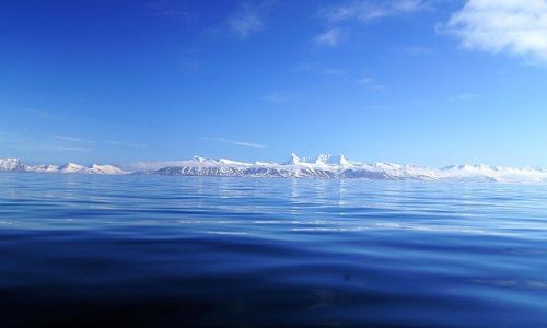Zdjecie NORWEGIA / Svalbard / Morze Norweskie / Hornsund