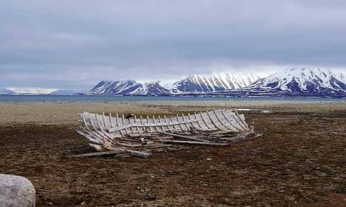 Zdjecie NORWEGIA / Spitsbergen / Calypsobyen / ...i przemijanie moe by pikne...