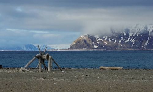 Zdjcie NORWEGIA / Spitsbergen / Calypsobyen / Wycigarka