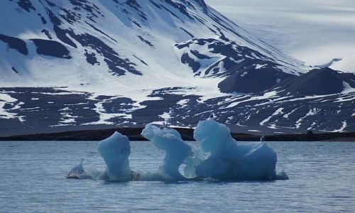 Zdjcie NORWEGIA / Spitsbergen / Ny Alesund / Co!