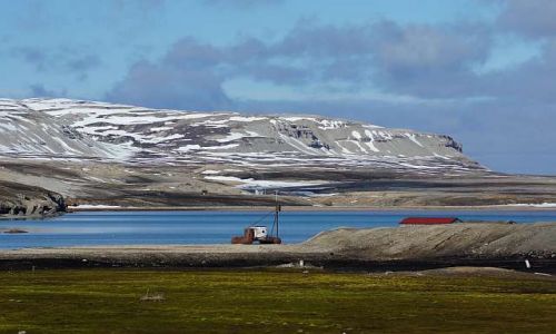 Zdjcie NORWEGIA / Spitsbergen / Ny Alesund / Zatoczka