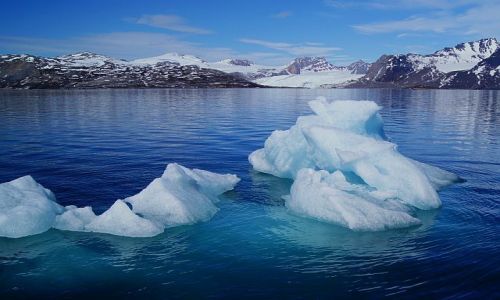 Zdjcie NORWEGIA / Spitsbergen / Ny Alesund / Gry o niejednym imieniu 