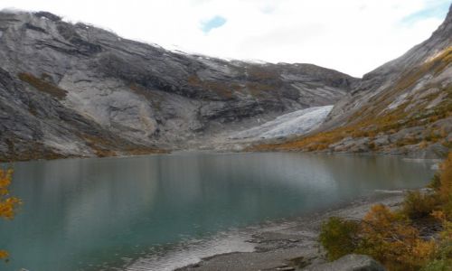 Zdjecie NORWEGIA / -Sogn og fjordane / Gaupne / Nigardsbreen