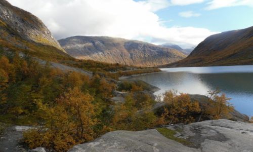 Zdjecie NORWEGIA / -Sogn og fjordane / Gaupne / Nigardsbreen