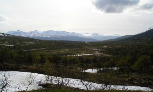 Zdjęcie NORWEGIA / brak / Okolice Narvika / Widok