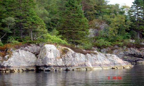 Zdjęcie NORWEGIA / brak / okolice Bergen / PODRÓŻ MARZEŃ
