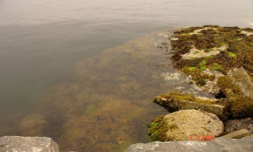 Zdjecie NORWEGIA / brak / okolice Bergen / PODRÓŻ MARZEŃ