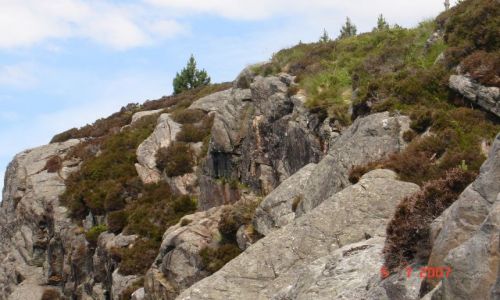 Zdj�cie NORWEGIA / brak / Sotra / PODRӯ MARZE�