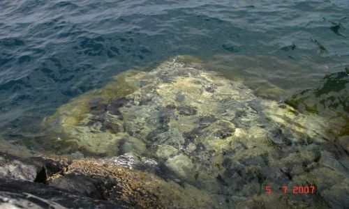 Zdjecie NORWEGIA / brak / Sotra / PODRÓŻ MARZEŃ