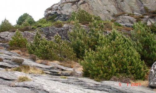 Zdjecie NORWEGIA / brak / Sotra / PODRӯ MARZE