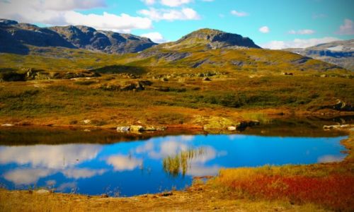 Zdjęcie NORWEGIA / TELEMARK / TELEMARK / widoczek
