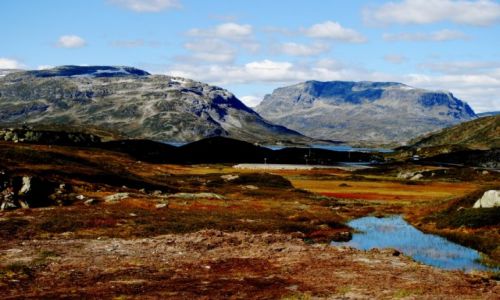 Zdjęcie NORWEGIA / TELEMARK / TELEMARK / widoczek