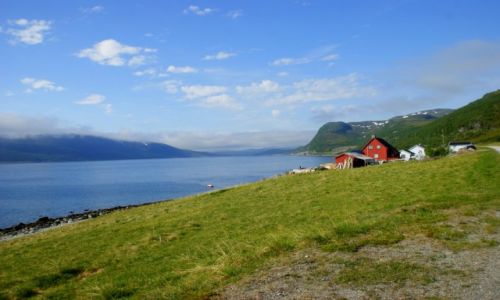Zdjcie NORWEGIA / Norwegia  / Norwegia  / Norwegia 
