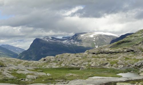 Zdjecie NORWEGIA / Norwegia / Spiterstulen / Norweski widoczek