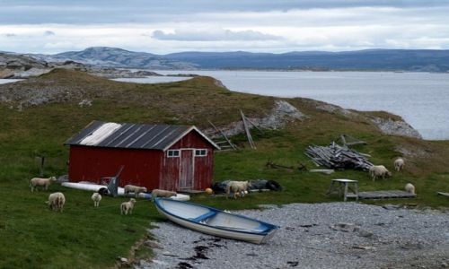 Zdjecie NORWEGIA / Finnmark / Trollholmsund / dka