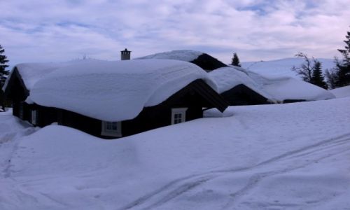 Zdjecie NORWEGIA / Hedmark / Trysil / zima