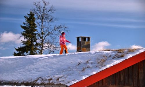 Zdjcie NORWEGIA / Hedmark / Trysil / zima