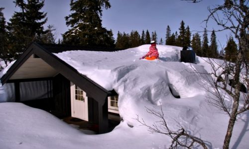 Zdjecie NORWEGIA / Hedmark / Trysil / zima