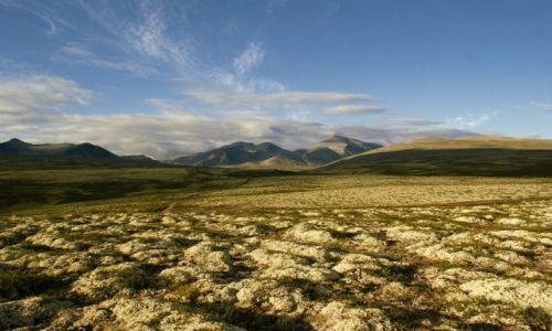 Zdjecie NORWEGIA / Oppland, Hedmark / Park Narodowy Rondane / Rondane nasjonalpark