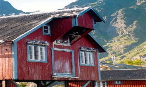 Zdjecie NORWEGIA / brak / Lofoty / A na Lofotach