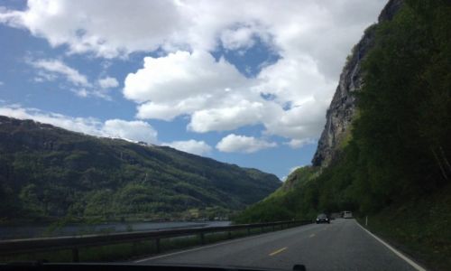 Zdjecie NORWEGIA / okolice Bergen. / okolice Bergen. / Podroz z Oslo do Bergen.
