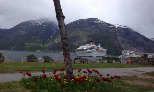 Zdjecie NORWEGIA / okolice Bergen. / okolice Bergen. / Podroz z Oslo do Bergen.