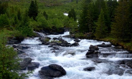 Zdjecie NORWEGIA / Otta / Otta / Trudna droga